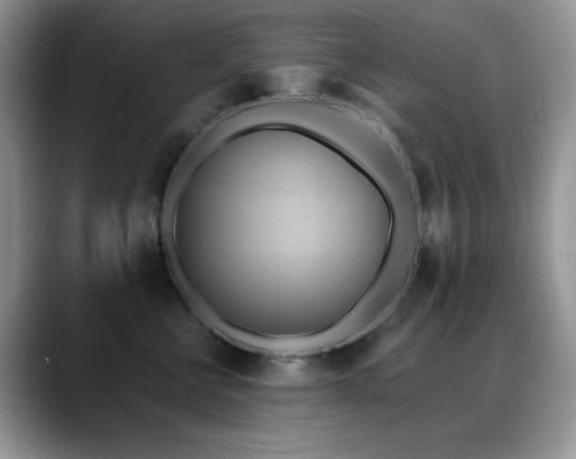 X0000088860570200706081155