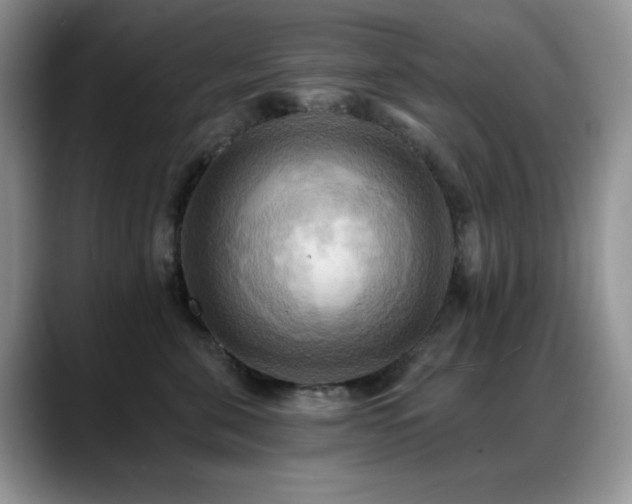 X0000088860571200706081155