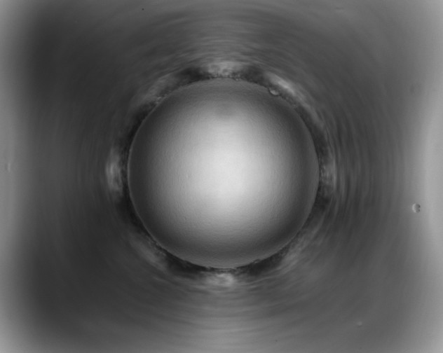 X0000088860572200706081155