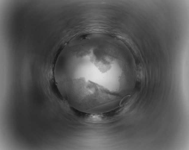 X0000088860573200706081155