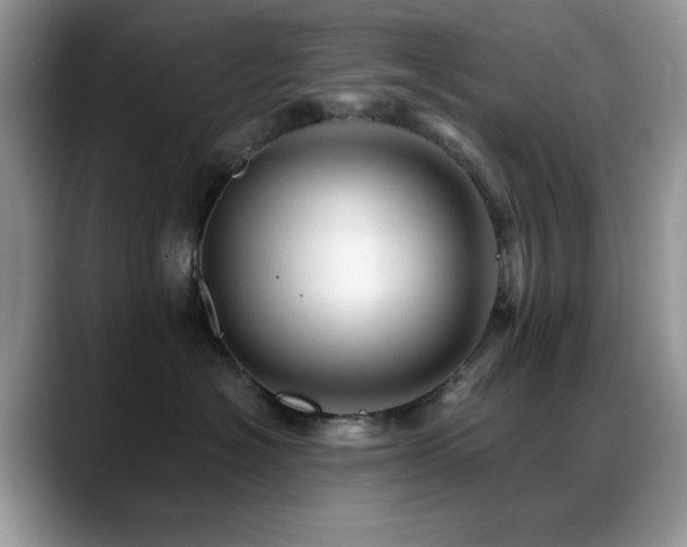 X0000088860574200706081155