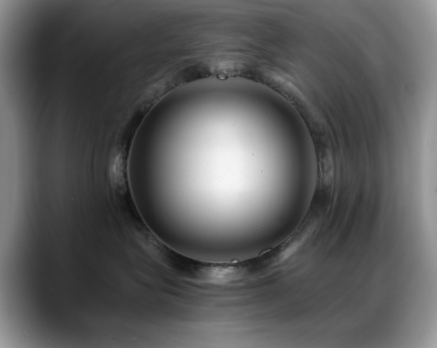 X0000088860575200706081155