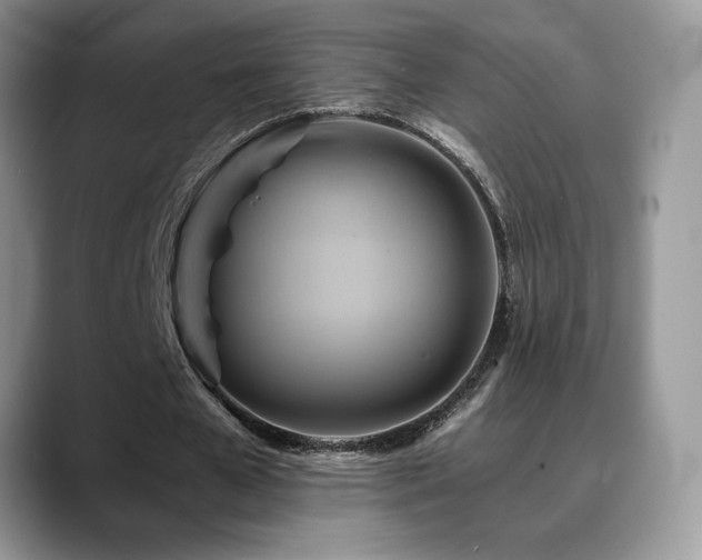 X0000088860577200706081154
