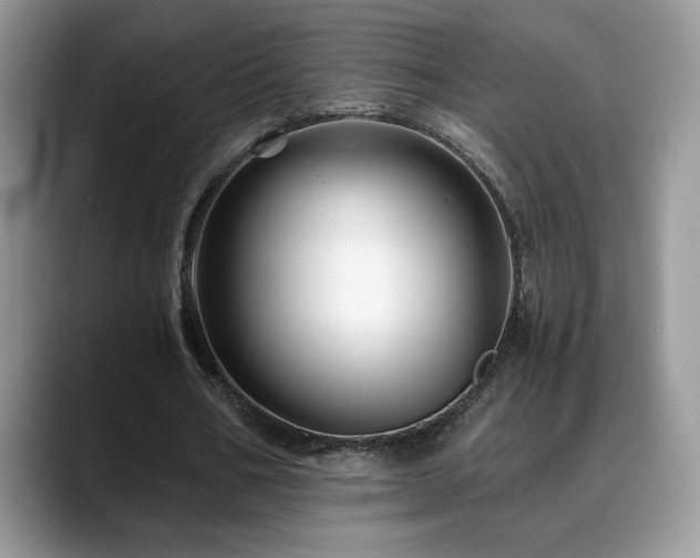 X0000088860578200706081154