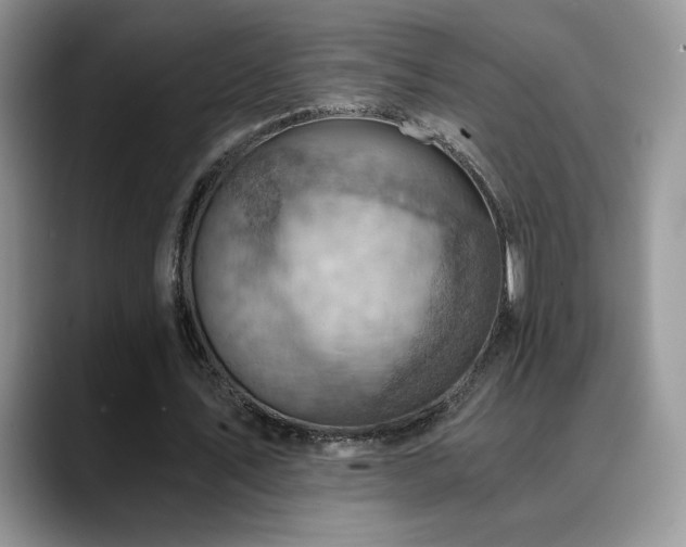 X0000088860579200706081154
