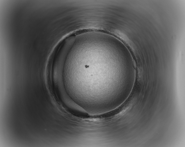 X0000088860580200706081154