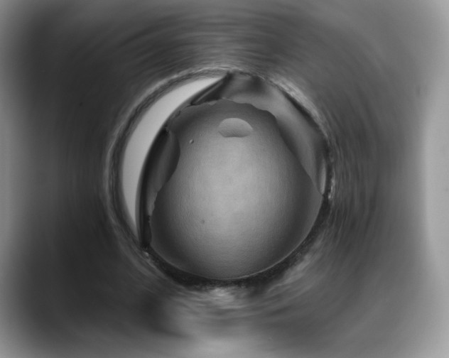 X0000088860584200706081154