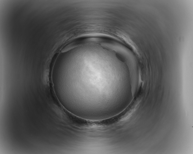 X0000088860585200706081154