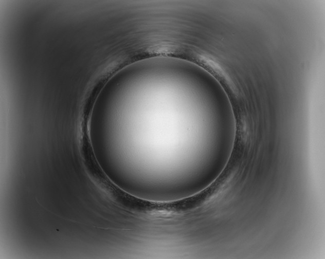 X0000088860586200706081154