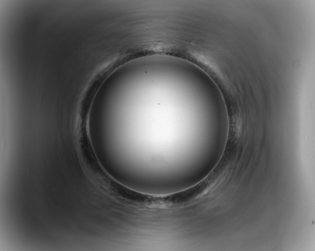 X0000088860587200706081154