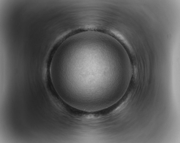 X0000088860588200706081154