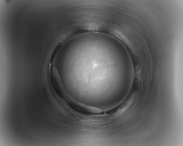 X0000088860589200706081154