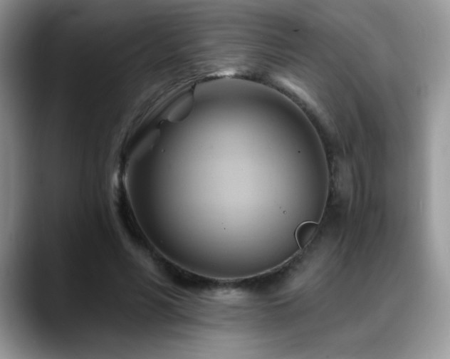 X0000088860590200706081154