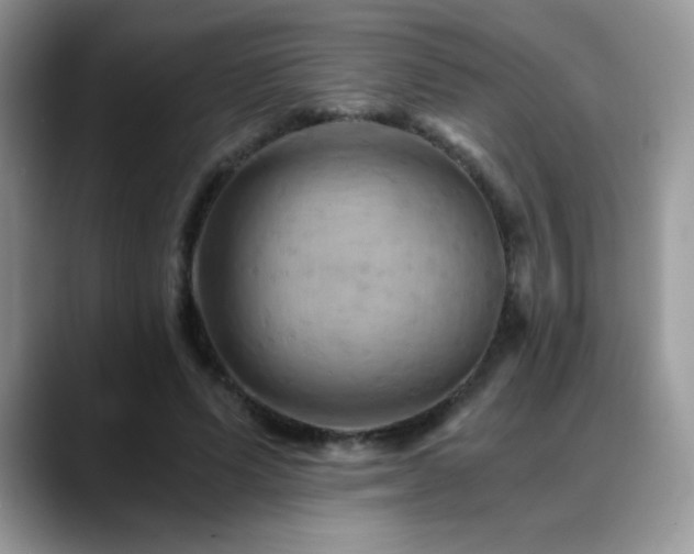 X0000088860591200706081154