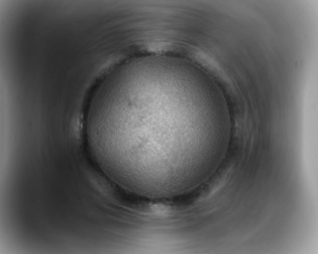 X0000088860592200706081154
