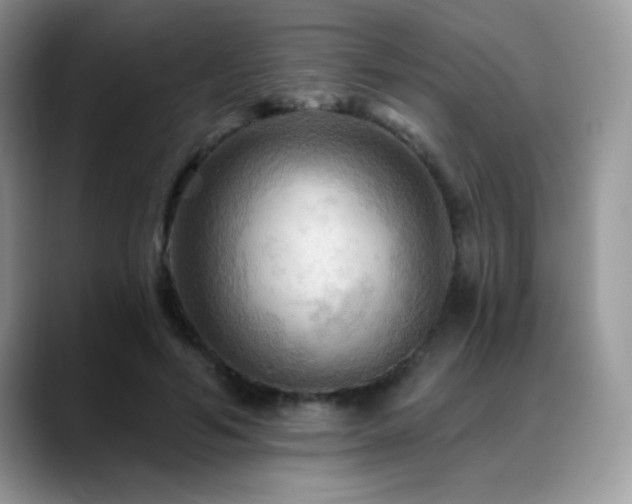 X0000088860594200706081154