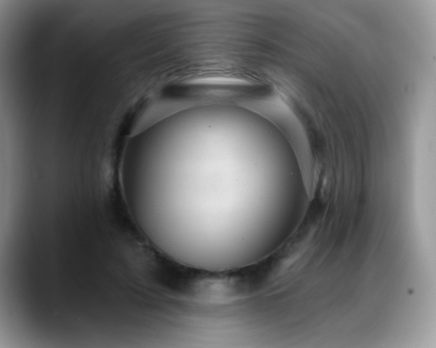 X0000088860595200706081154