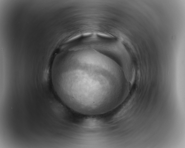 X0000088860596200706081154