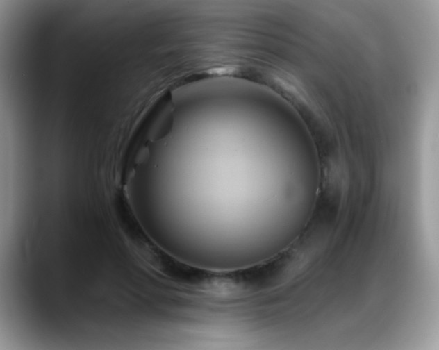X0000088860598200706081154