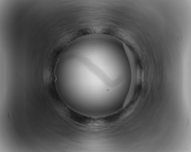 X0000088860599200706081154