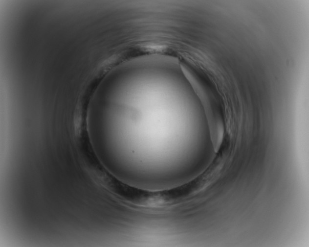 X0000088860600200706081154