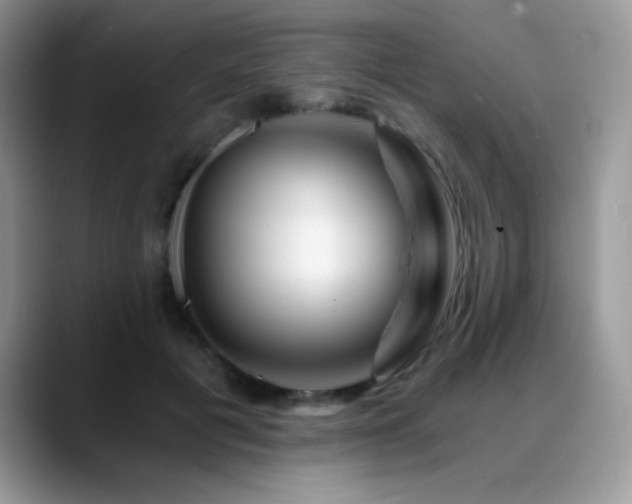X0000088860601200706081154
