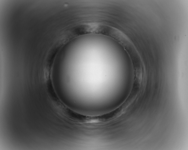 X0000088860602200706081154