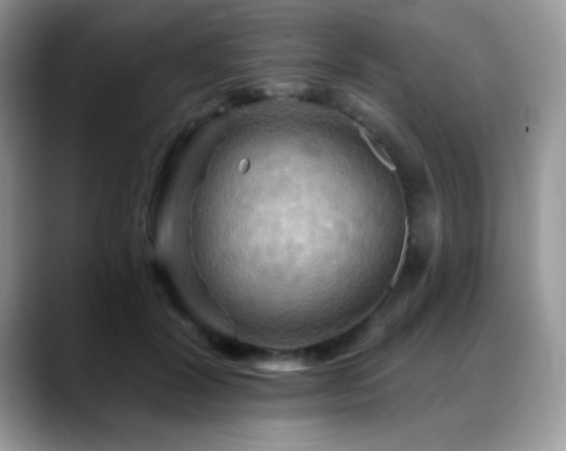 X0000088860604200706081154