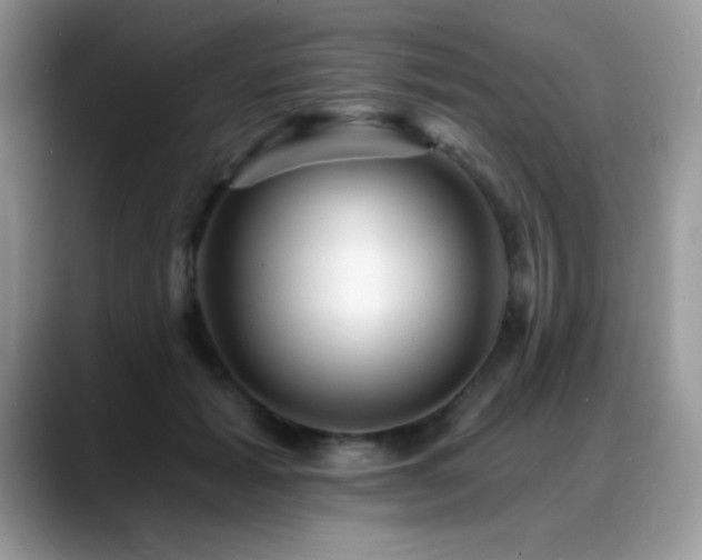 X0000088860605200706081154