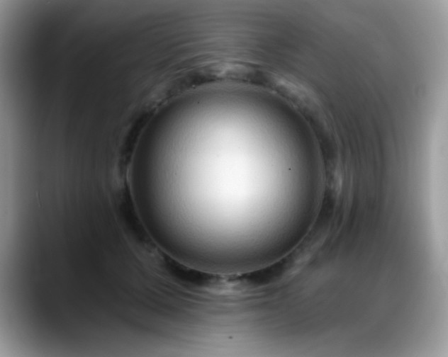 X0000088860607200706081154