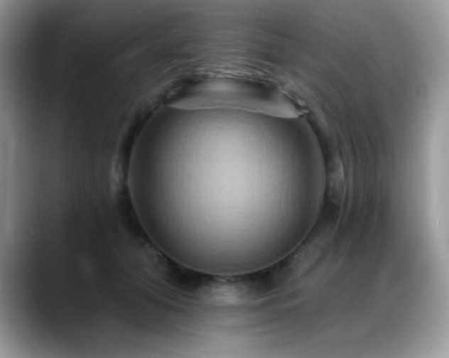 X0000088860608200706081154