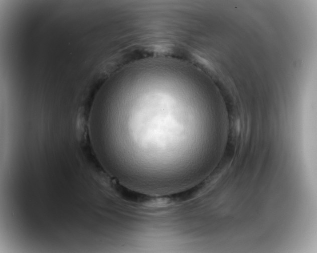 X0000088860609200706081154