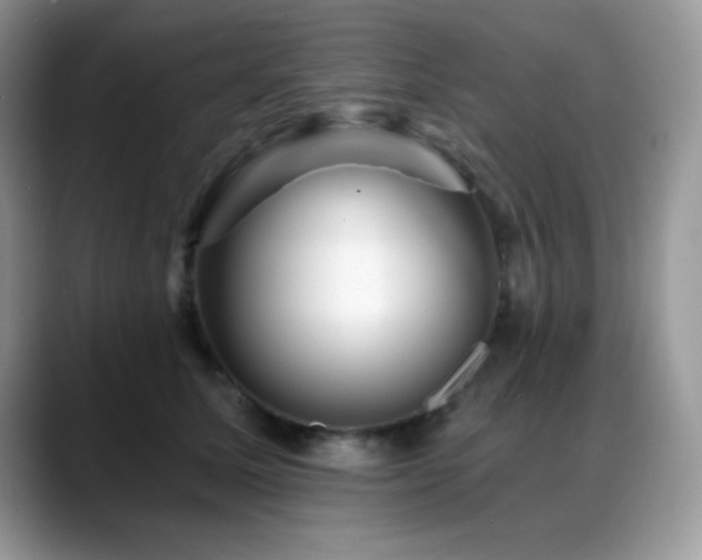 X0000088860611200706081154