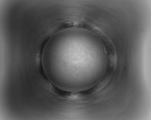 X0000088860612200706081154