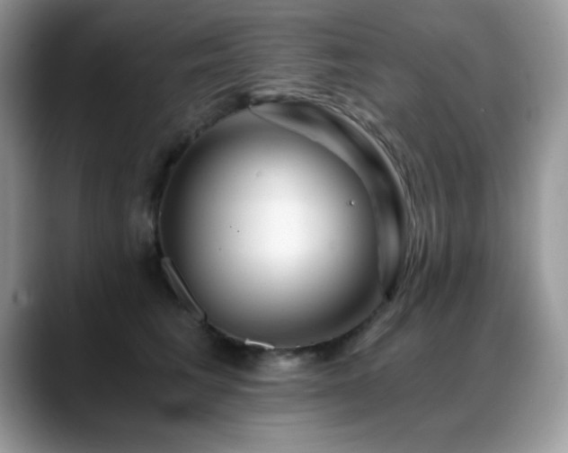 X0000088860613200706081154