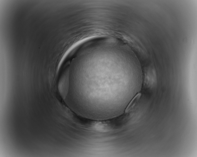 X0000088860616200706081154