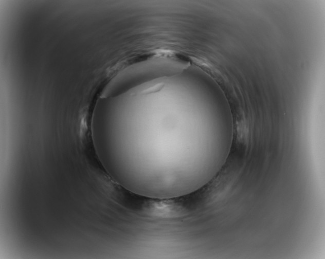 X0000088860618200706081154