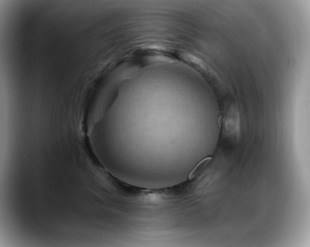 X0000088860620200706081154