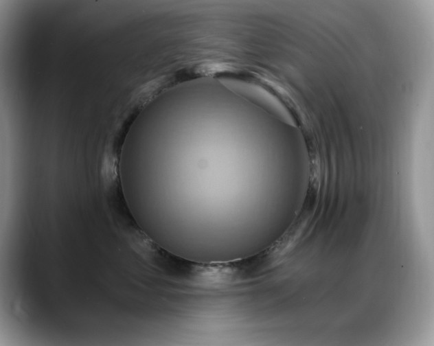 X0000088860621200706081154