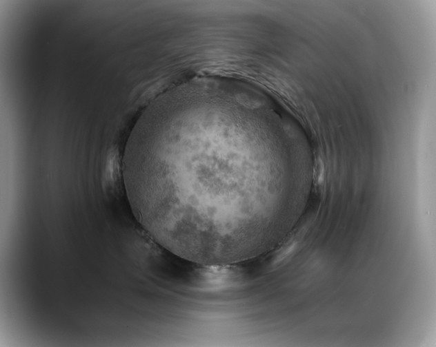 X0000088860623200706081154
