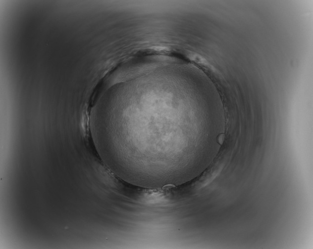 X0000088860624200706081154