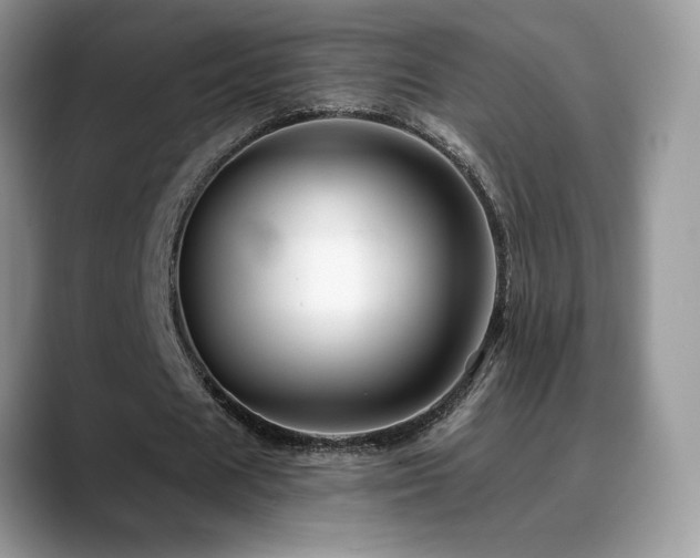 X0000088860625200706081153
