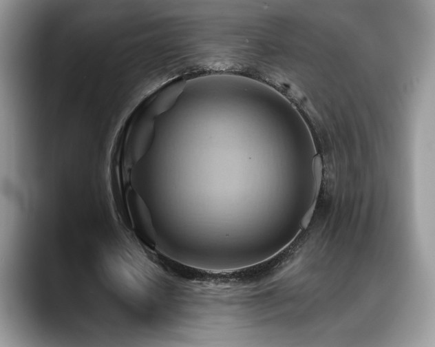 X0000088860626200706081153