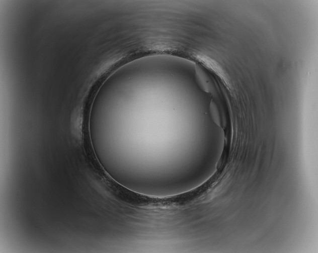 X0000088860627200706081153