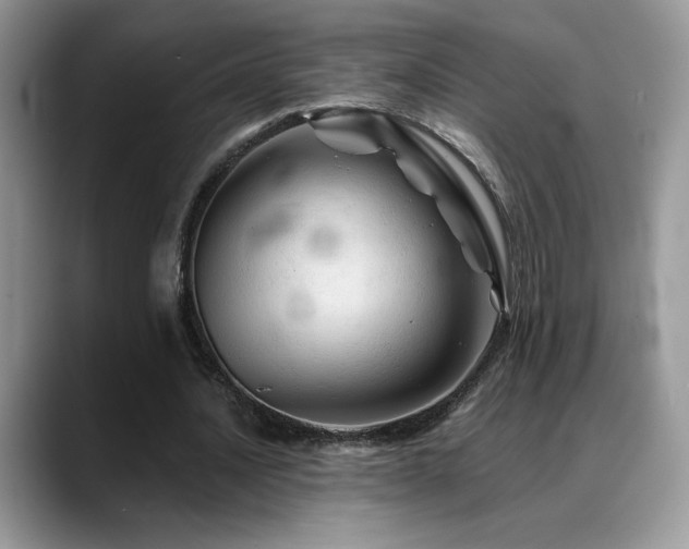 X0000088860628200706081153
