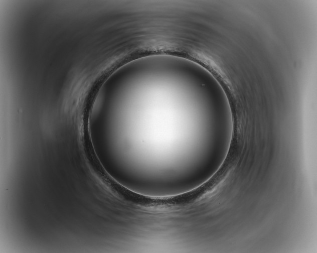 X0000088860629200706081153