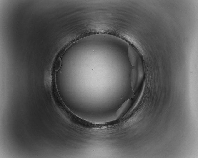 X0000088860630200706081153