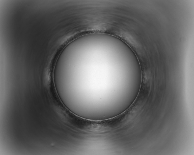 X0000088860632200706081153