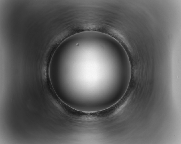 X0000088860633200706081153