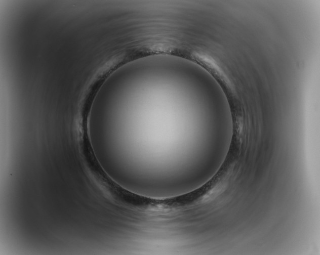 X0000088860634200706081153